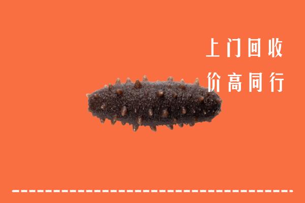 高价求购：延安回收海参